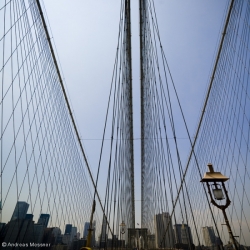 NY