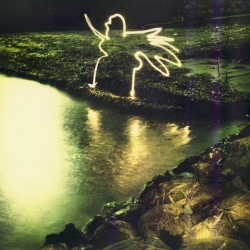 Lichtengel, Polaroid 4x5"