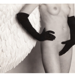 Angel1
