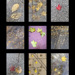 Leaf-the-Road-Layout2_180x90_24112022