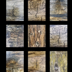 Treewood-1