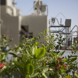 Cement Factory, Dubai