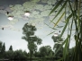 Reflections - Up and Down