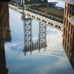 Reflection NY
