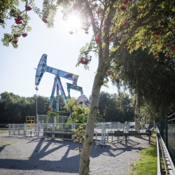 O&G_DAM-1133