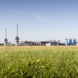O&G_DAM-1455