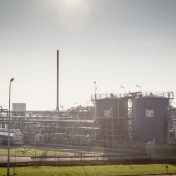 O&G_DAM-1485
